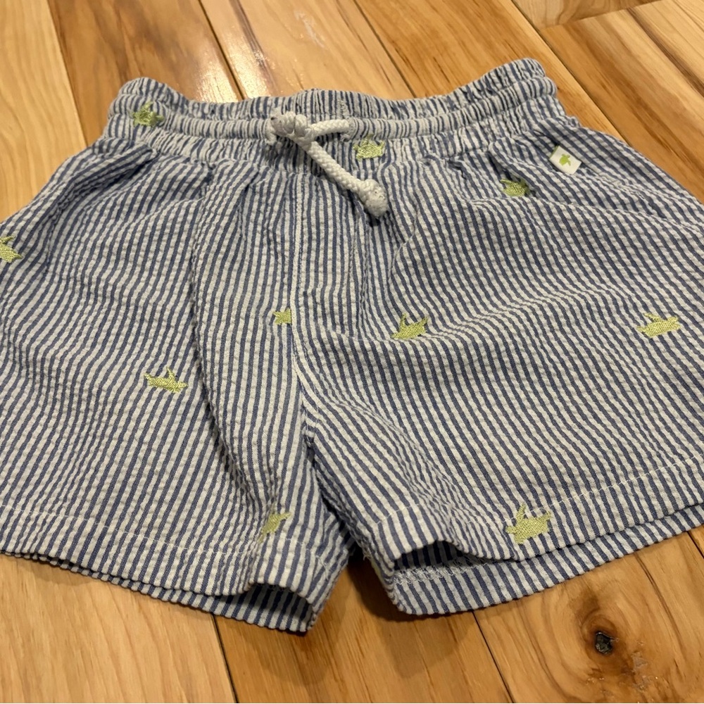 Striped Blue and White turtle  Kids Shorts